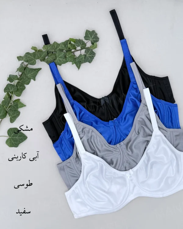 سوتین مینیمایزر فنردار روژان کاپ: B - Image 3