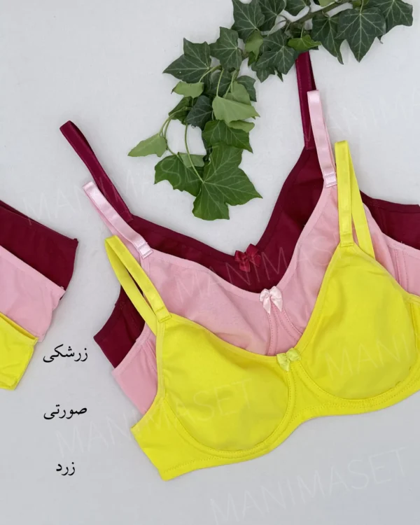 ست شورت و سوتین میکرو نخی روژان کاپ B - Image 2