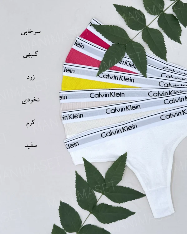 شورت بکلس کبریتی کش کلوین توتن - Image 3
