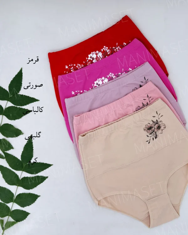 شورت گنی بلند چاپی نارین سایز: 3XL/2XL - Image 3