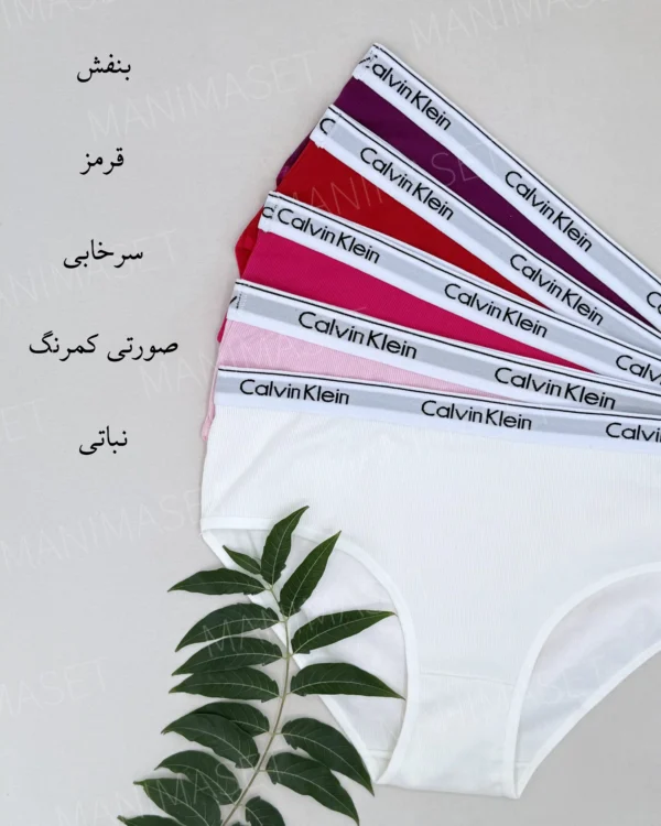 شورت کبریتی کش کلوین توتن سایز: L - Image 3